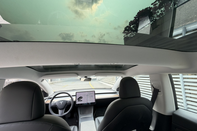 Tesla Model 3 2021 #26 Tesla Model 3 2021 immagine di auto #26
