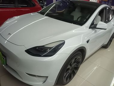 Tesla Model Y 2021 car image 