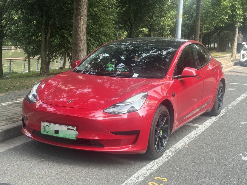 Tesla Model 3 2020 Tesla Model 3 2020 car image
