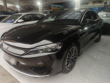BYD Han 2022 汽车图片 