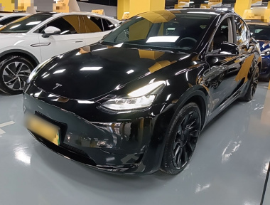 Tesla Model Y 2022 car image 
