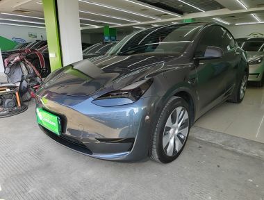 Tesla Model Y 2022 Tesla Model Y 2022 car image