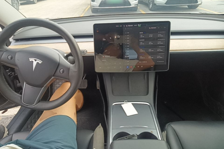 Tesla Model 3 2021 car image #10