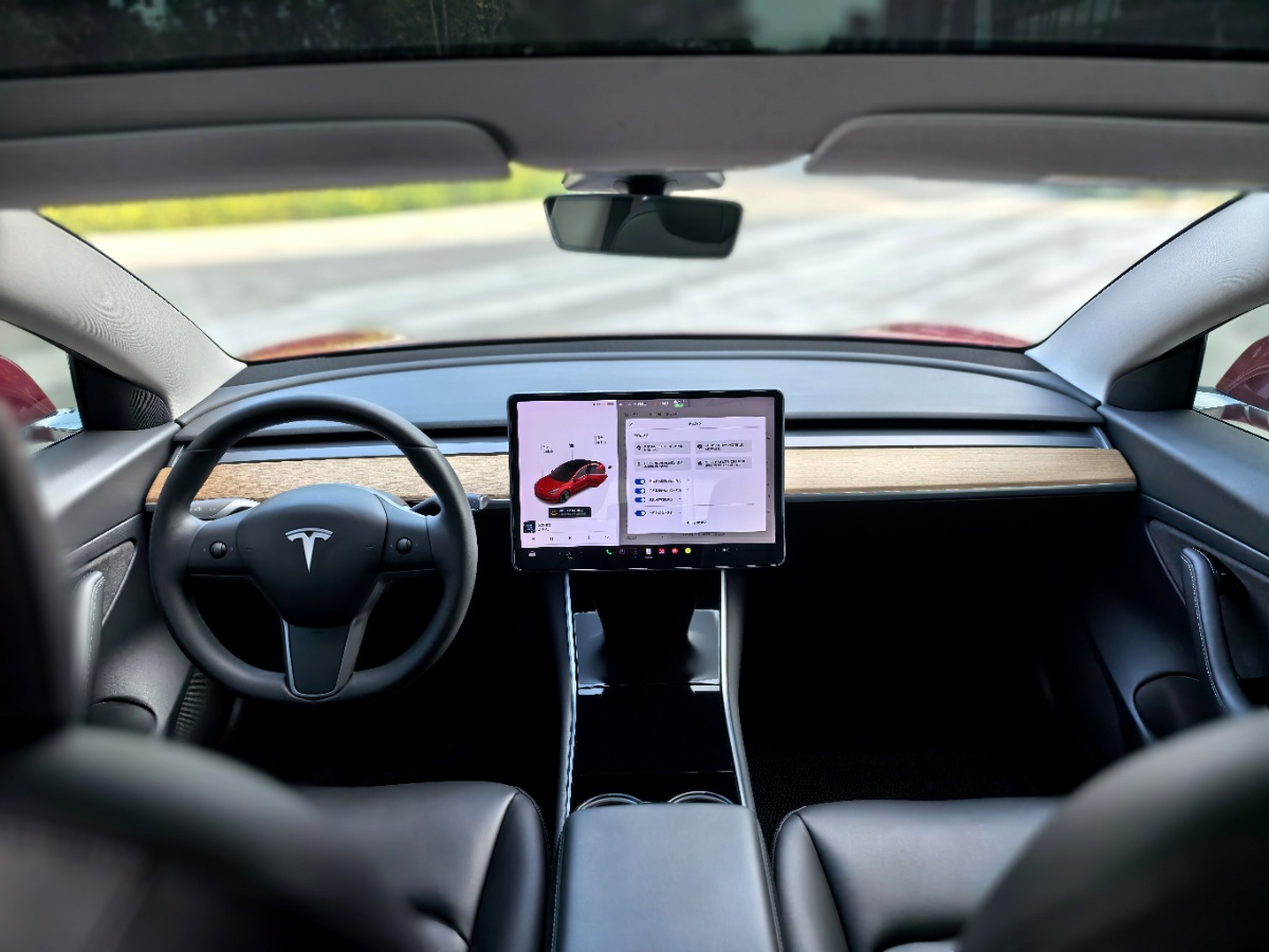 Tesla Model 3 2020 #9 Tesla Model 3 2020 car image #9