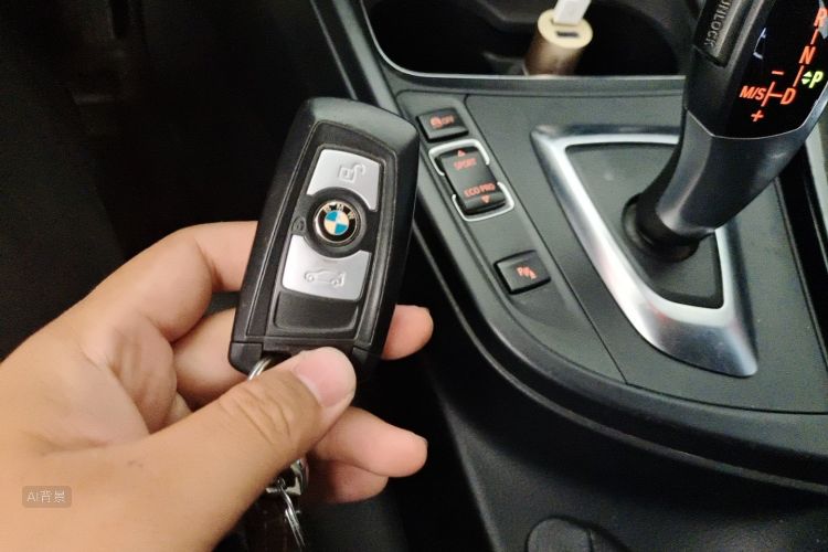 BMW 3 Series 2016 car image #10