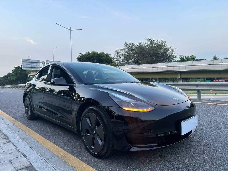Tesla Model 3 2022 #3 Tesla Model 3 2022 car image #3