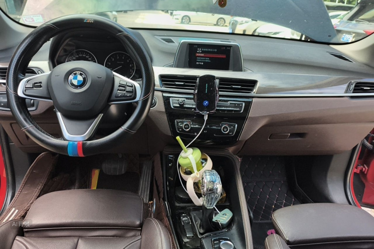 BMW X1 2019 car image #11
