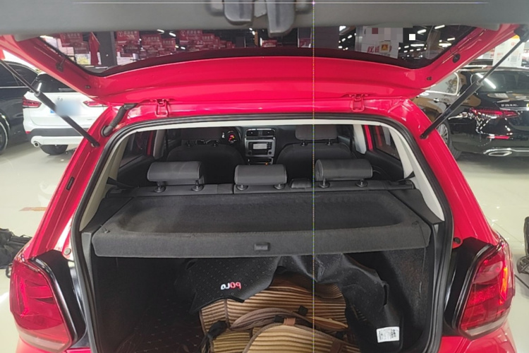 Volkswagen Polo 2015 car image #19