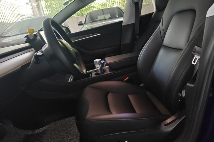 Tesla Model 3 2021 car image #19