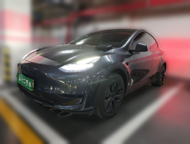 Tesla Model Y 2024 Tesla Model Y 2024 car image