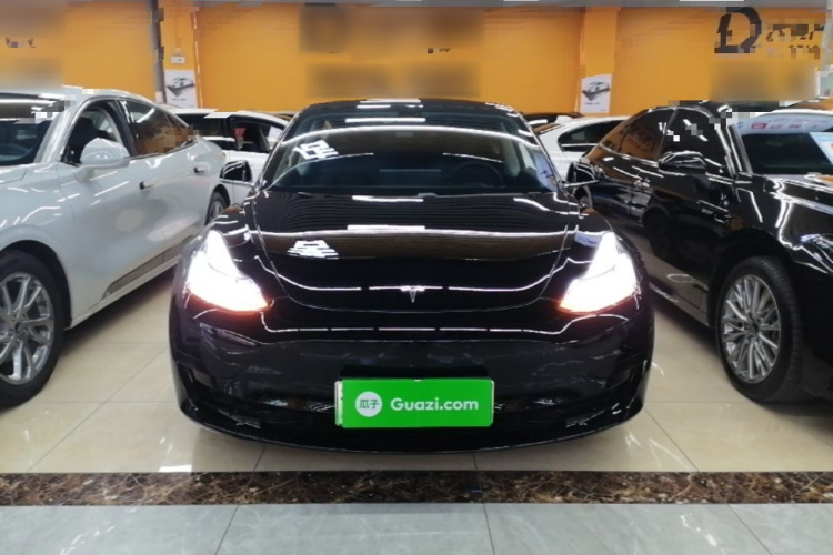 Tesla Model 3 2020 #3 Tesla Model 3 2020 car image #3