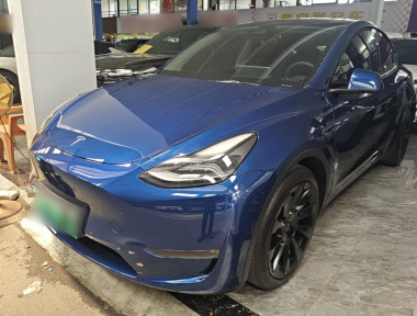 Tesla Model Y 2021 Tesla Model Y 2021 car image