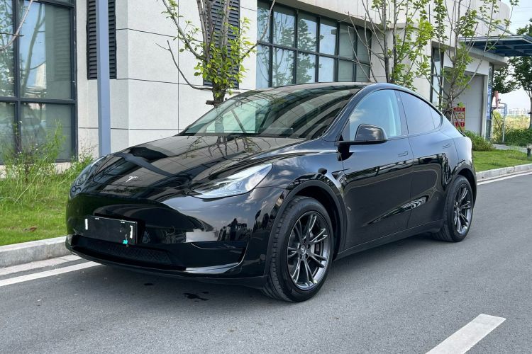 Tesla Model Y 2023 car image #2