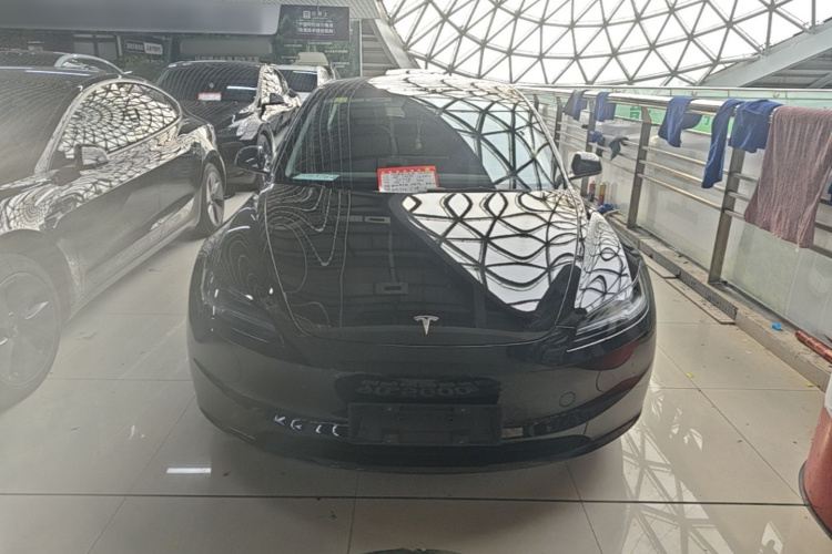 Tesla Model 3 2023 #3 Tesla Model 3 2023 car image #3
