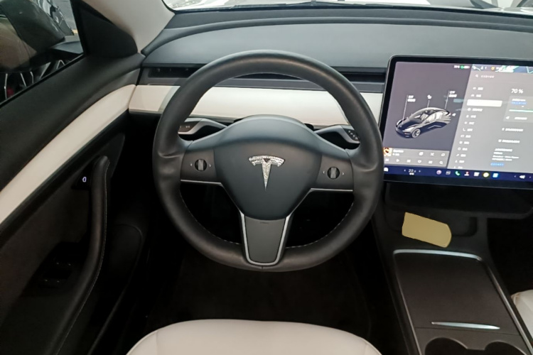 Tesla Model 3 2021 #15 Tesla Model 3 2021 car image #15
