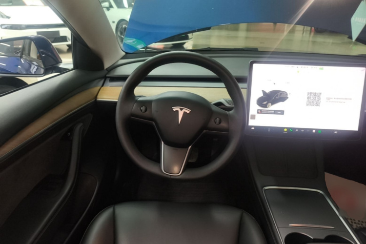 Tesla Model 3 2021 car image #11