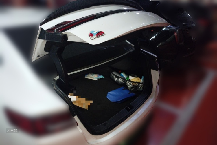 BYD Han 2021 car image #21