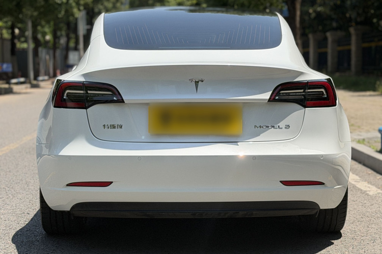 Tesla Model 3 2020 car image #7