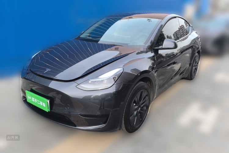 Tesla Model Y 2024 #2 Tesla Model Y 2024 car image #2