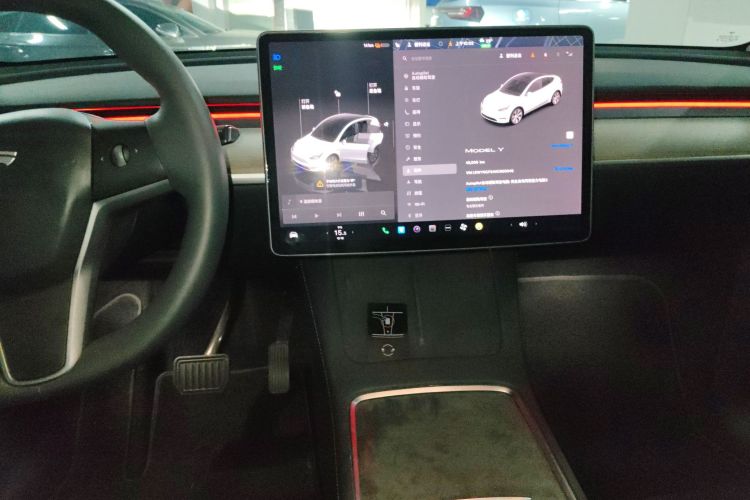 Tesla Model Y 2022 car image #17