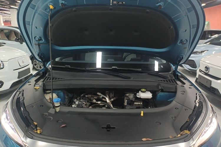 BYD Yuan Plus 2022 car image #20