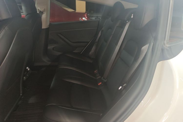 Tesla Model 3 2020 car image #17