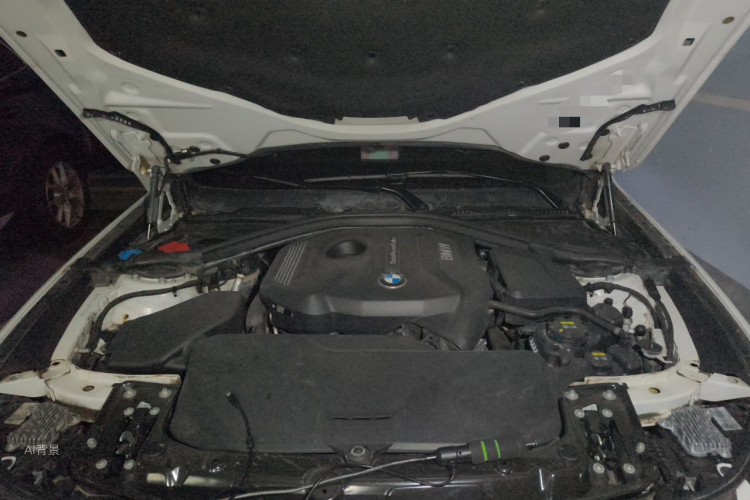 BMW 3 Series GT 2019 car image #22