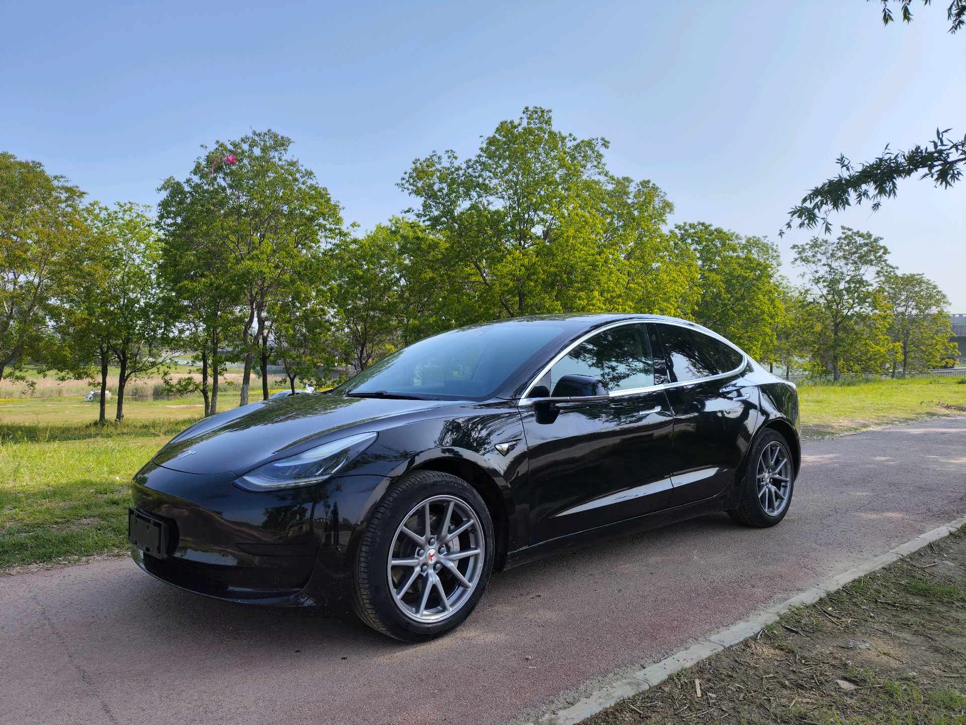 Tesla Model 3 2020 Tesla Model 3 2020 car image