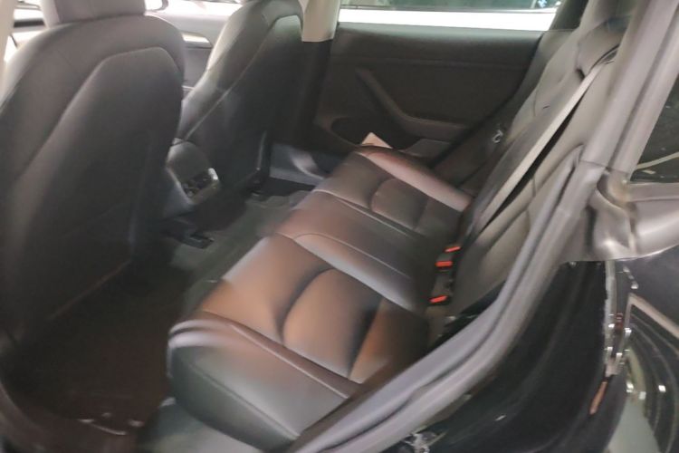 Tesla Model 3 2021 #13 Tesla Model 3 2021 car image #13