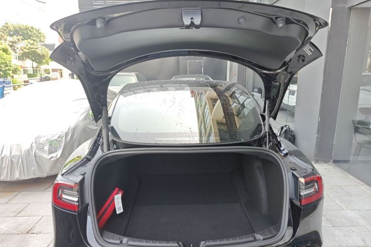 Tesla Model 3 2021 #19 Tesla Model 3 2021 car image #19