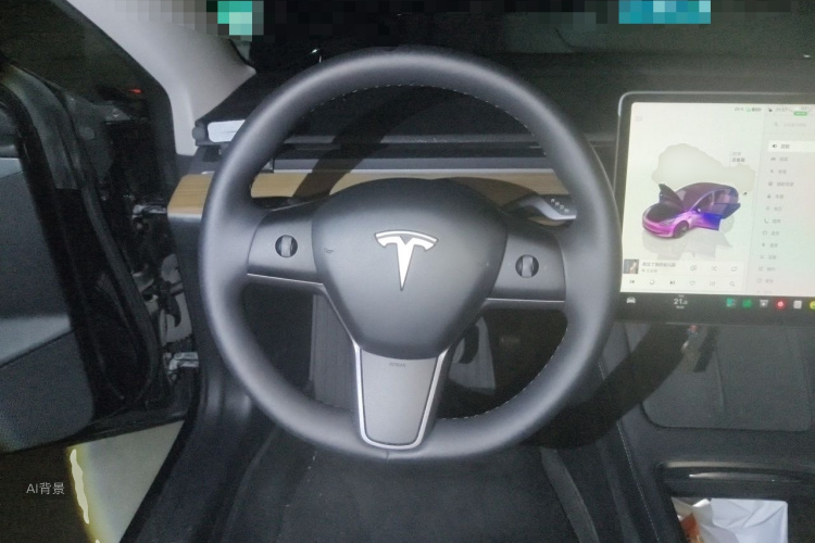Tesla Model 3 2022 immagine di auto #12