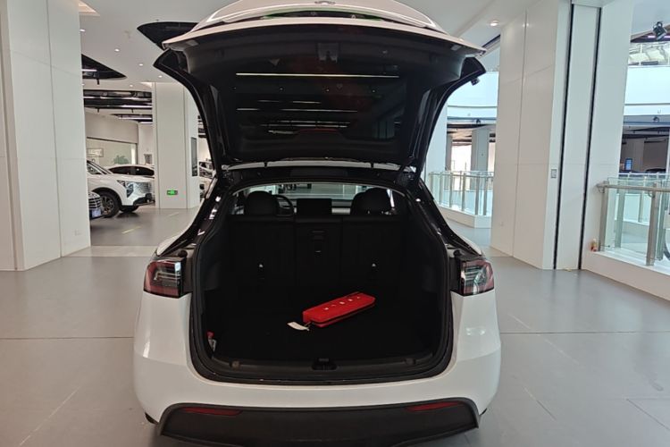 Tesla Model Y 2024 #19 Tesla Model Y 2024 car image #19