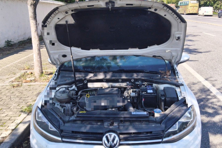 Volkswagen Golf 2019 imagem de carro #22