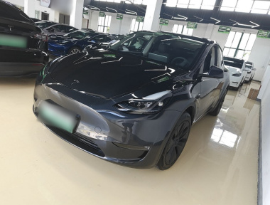 Tesla Model Y 2024 Tesla Model Y 2024 car image