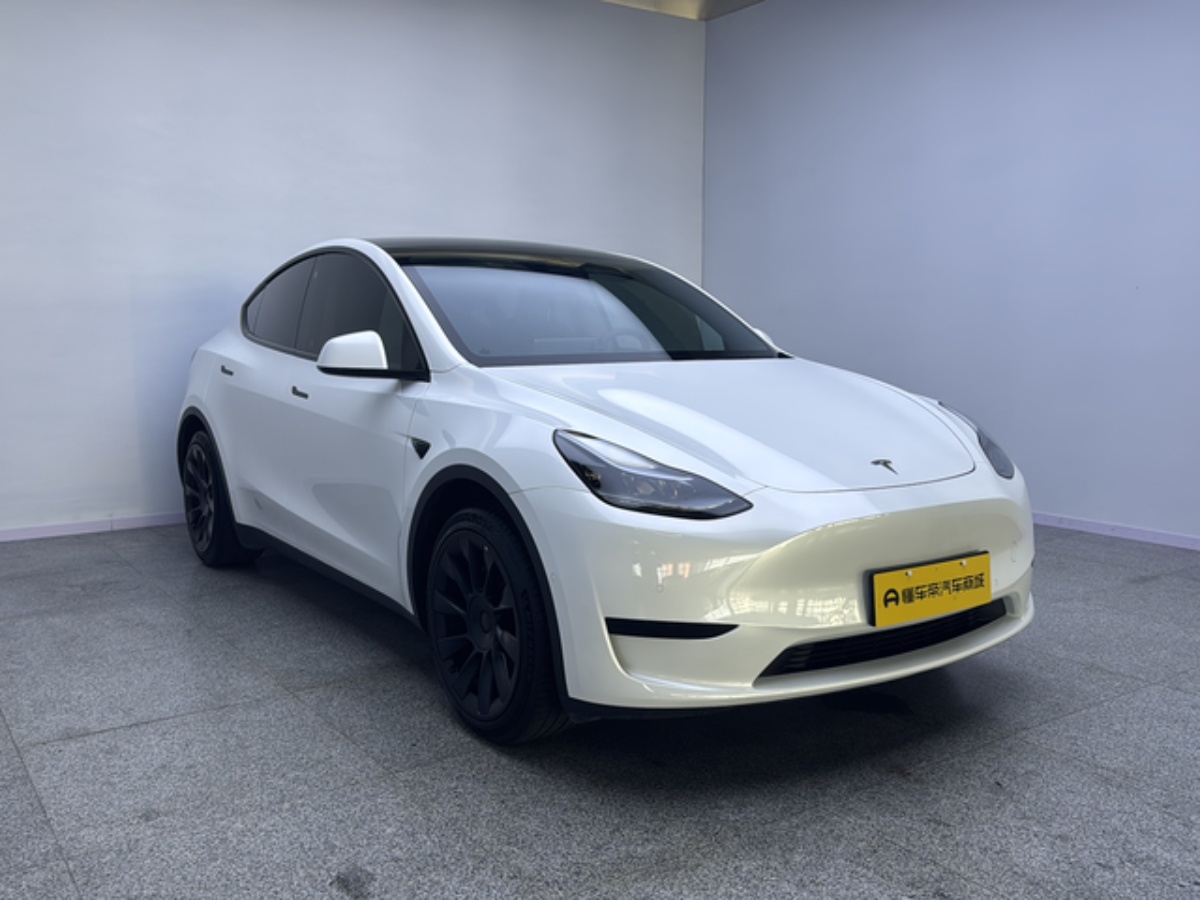 Tesla Model Y 2022 #6 Tesla Model Y 2022 car image #6