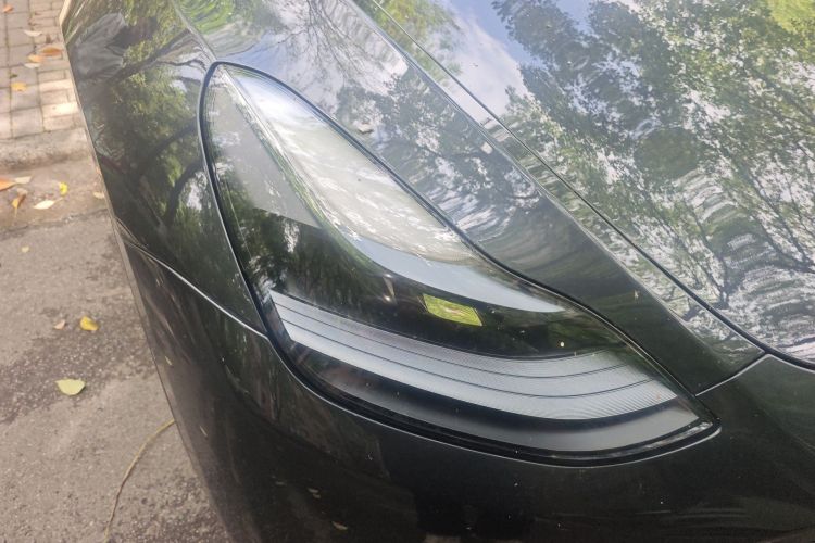 Tesla Model Y 2024 #8 Tesla Model Y 2024 car image #8