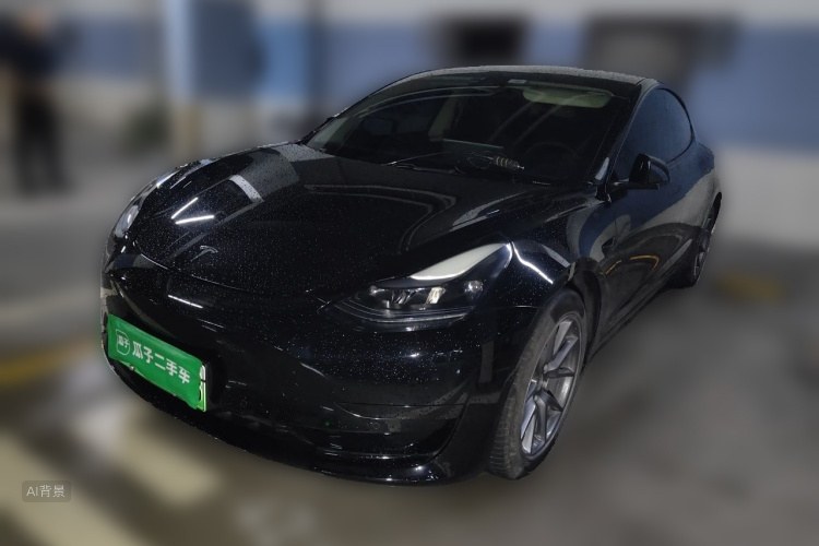 Tesla Model 3 2022 car image #2