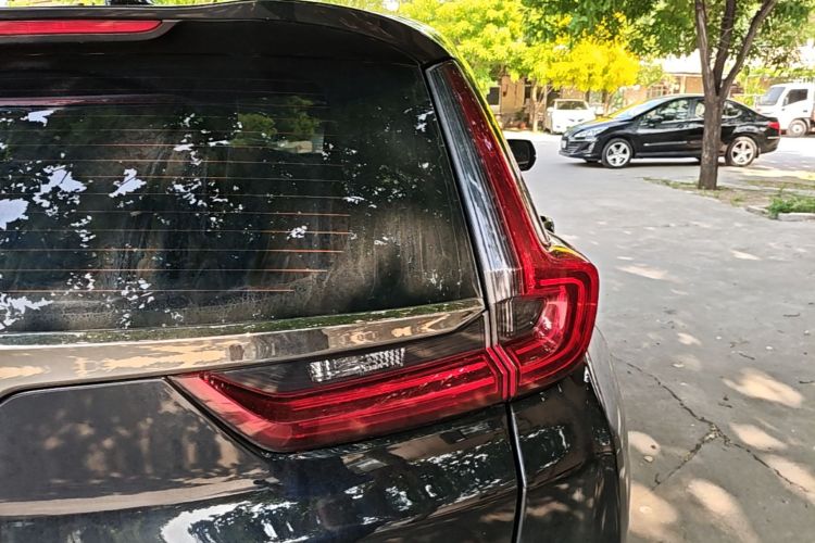 Honda CR-V 2022 #8 Honda CR-V 2022 car image #8
