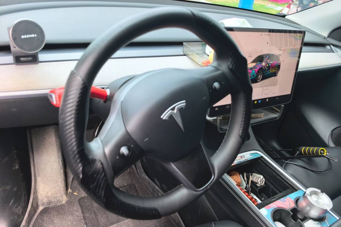 Tesla Model Y 2024 صورة سيارة #22