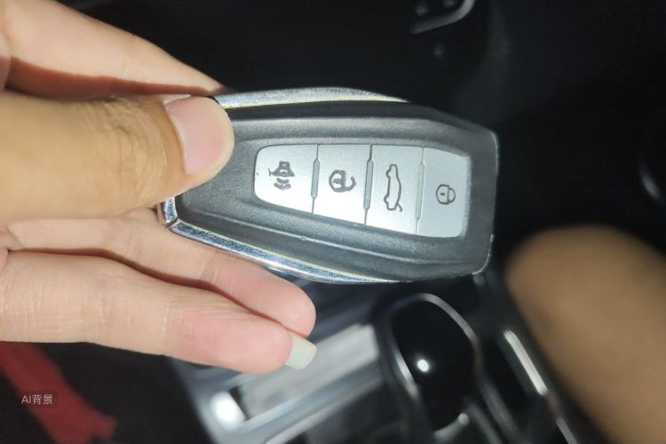 GEELY Emgrand 2019 car image #10