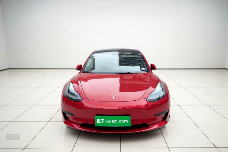 Tesla Model 3 2021 #3 Tesla Model 3 2021 car image #3