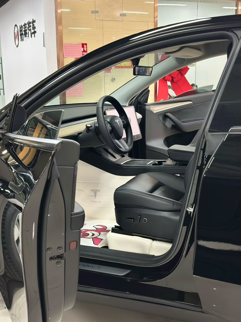 Tesla Model Y 2023 immagine di auto #5