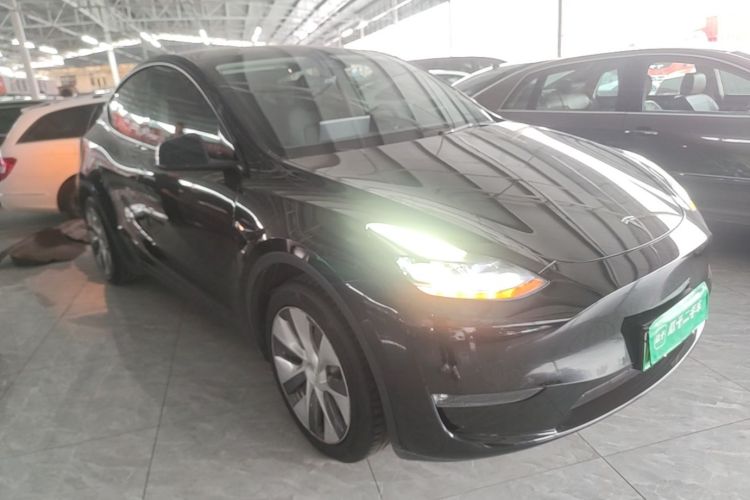 Tesla Model Y 2021 imagem de carro #6