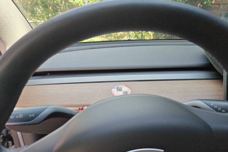 Tesla Model 3 2021 #12 Tesla Model 3 2021 car image #12