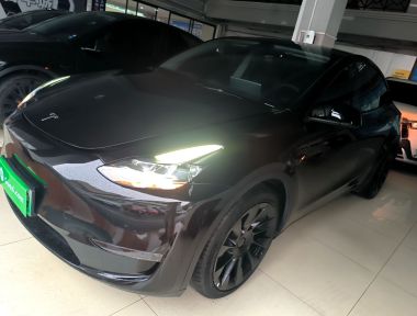 Tesla Model Y 2021 Tesla Model Y 2021 car image