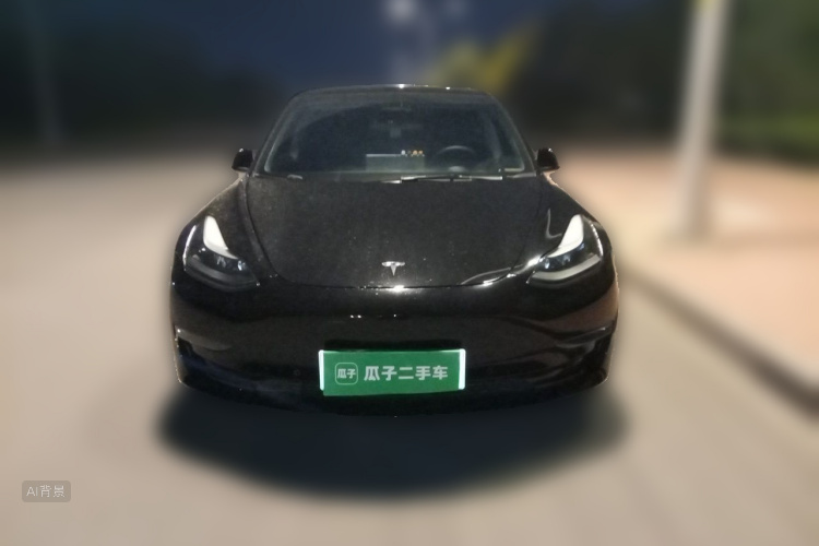 Tesla Model 3 2021 #3 Tesla Model 3 2021 immagine di auto #3