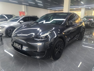 Tesla Model Y 2024 car image 