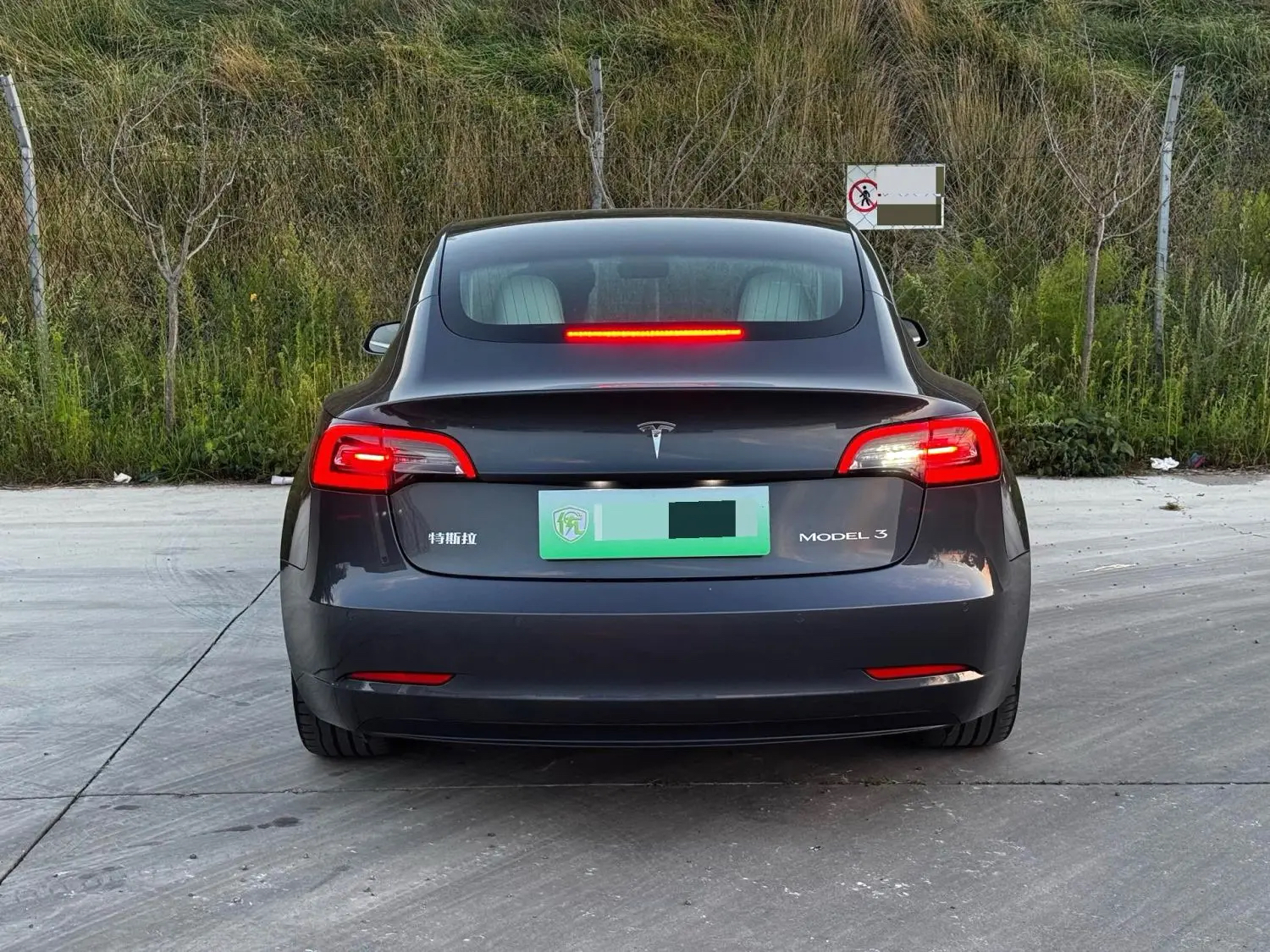 Tesla Model 3 2020 #7 Tesla Model 3 2020 car image #7