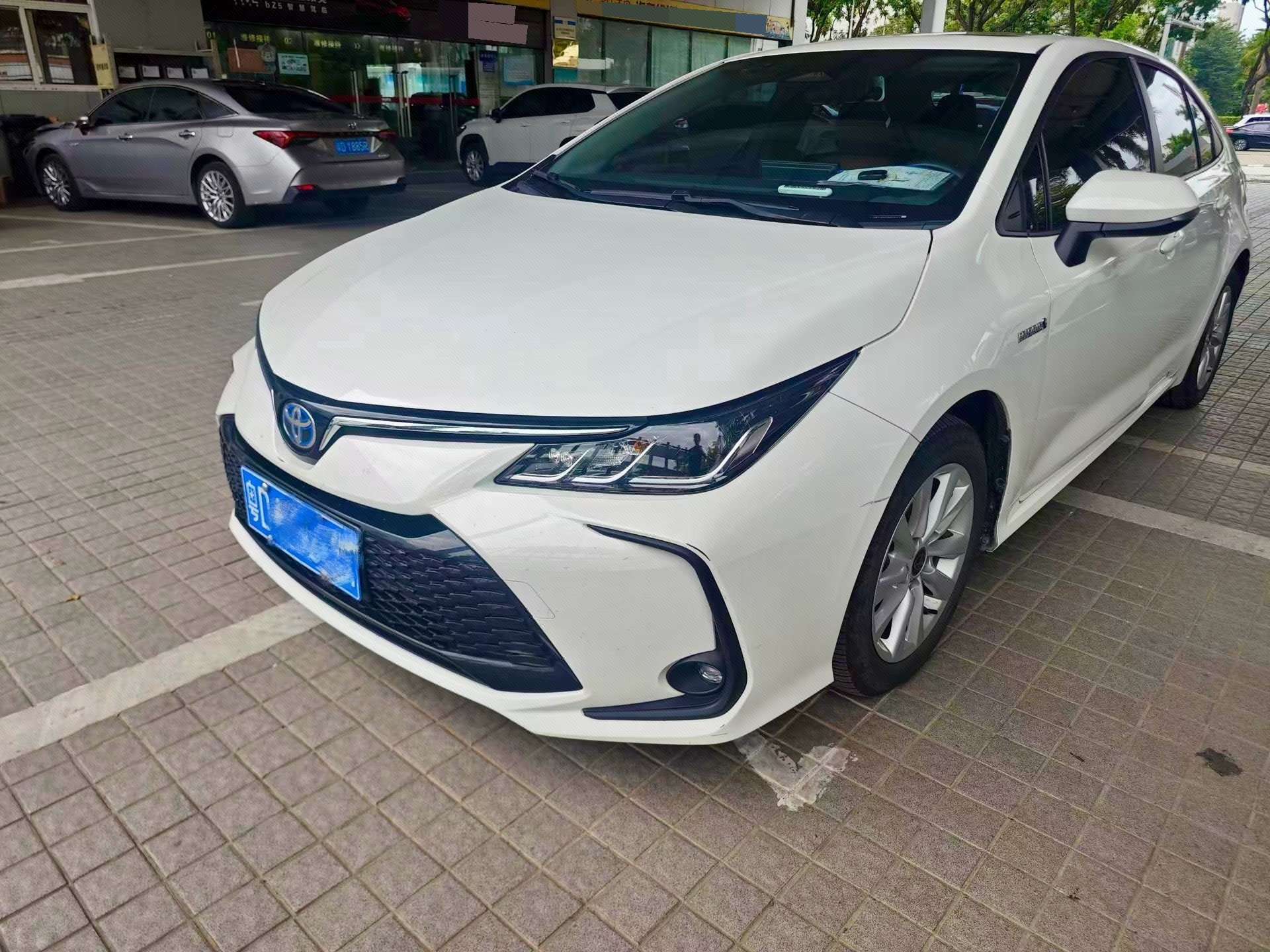 Toyota Corolla 2023 Toyota Corolla 2023 immagine di auto