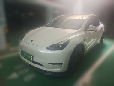 Tesla Model Y 2022 Tesla Model Y 2022 car image